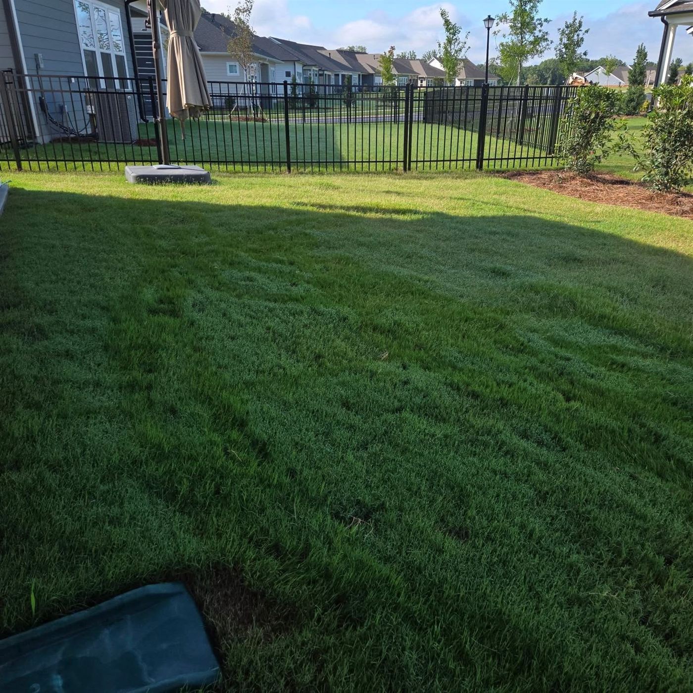 Sod & Lawn by Pavestone Landscaping